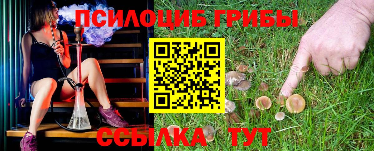 Электрогорск  Галлюциногенные грибы Psilocybine cubensis  Псилоцибиновые грибы прущие грибы  Вход с VPN 